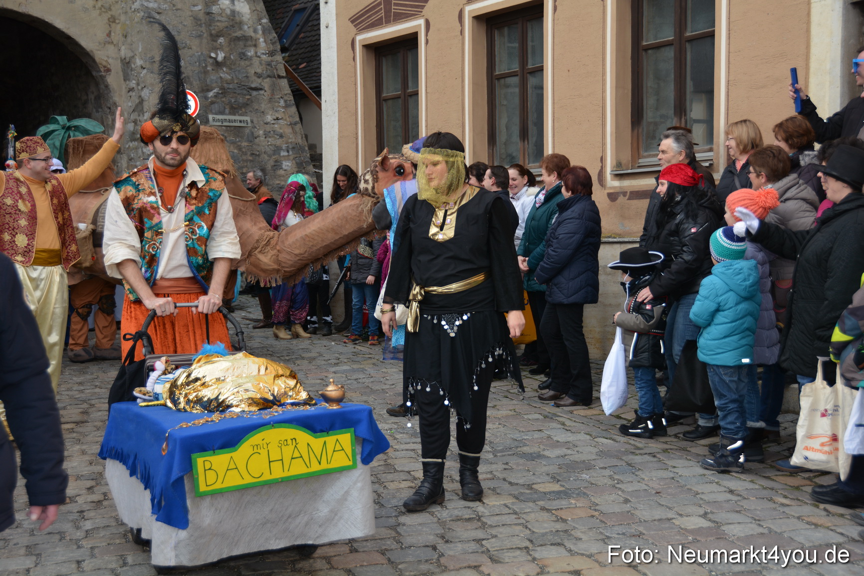 Faschingszug Berching 070216 0081