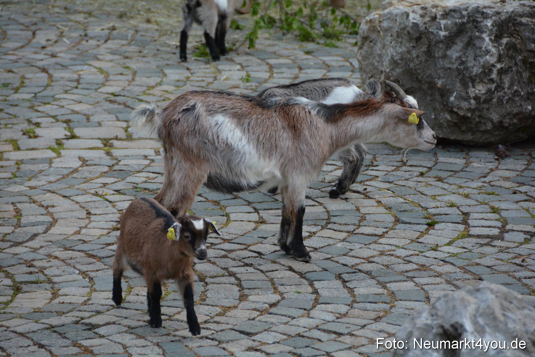 Frühlingsfest Neumarkt 2016 220416 0039