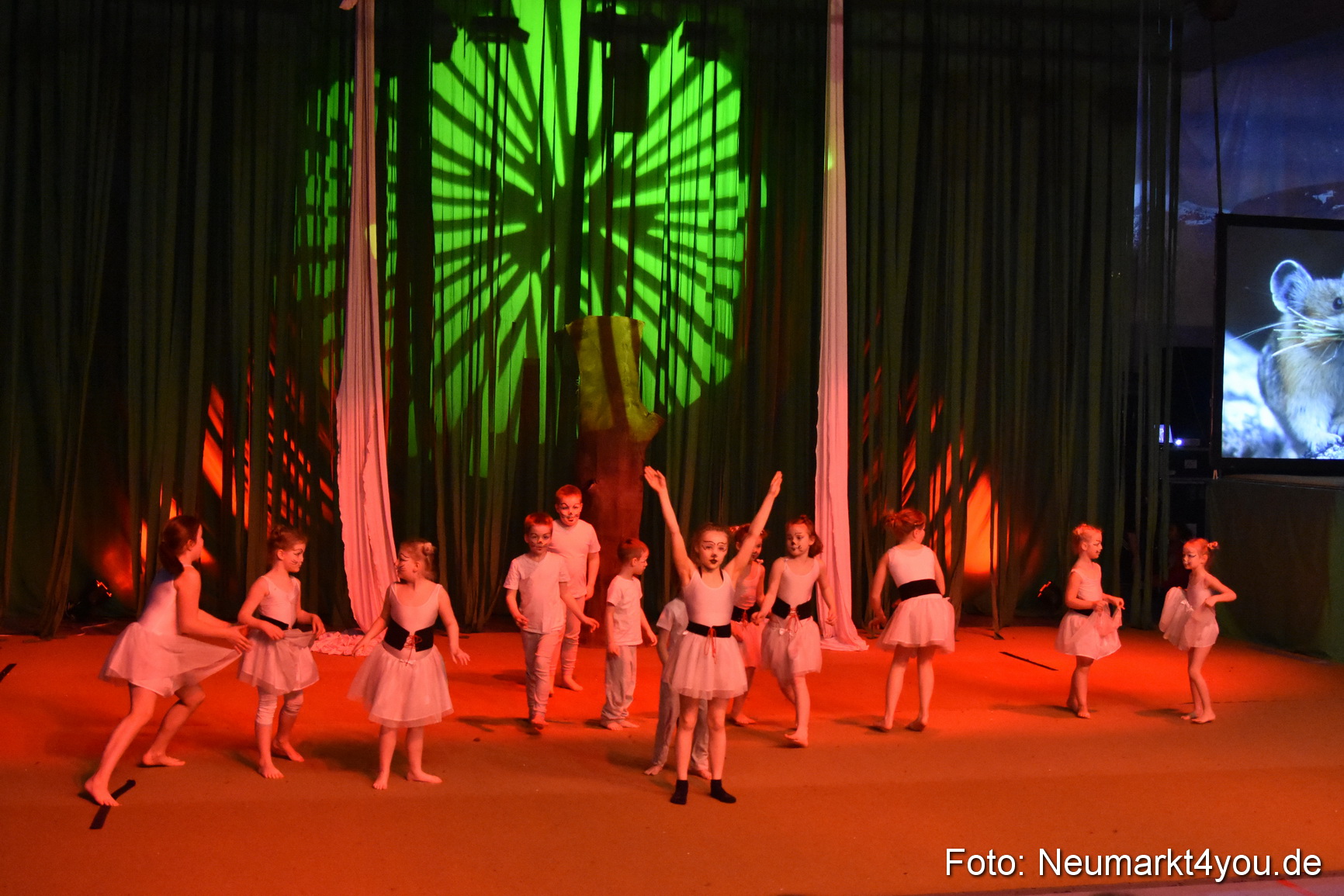 Hakuna Matata 300316 0018