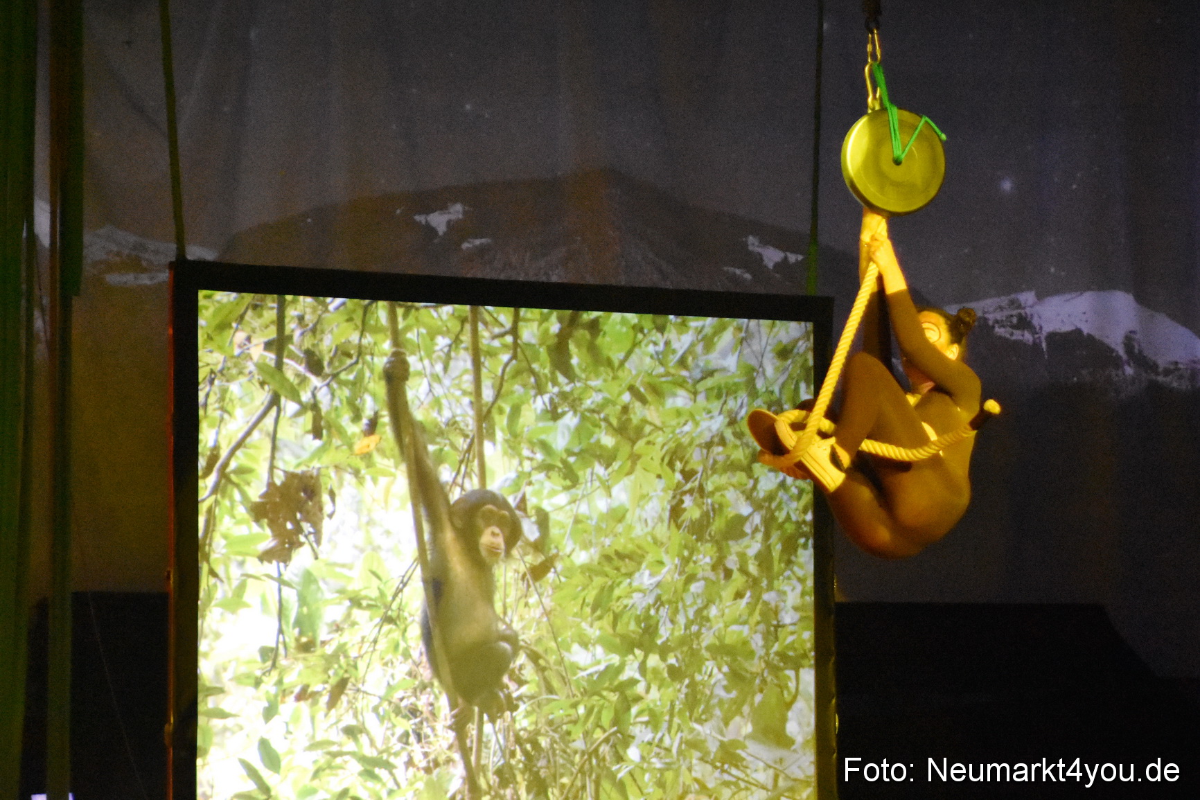 Hakuna Matata 300316 0036