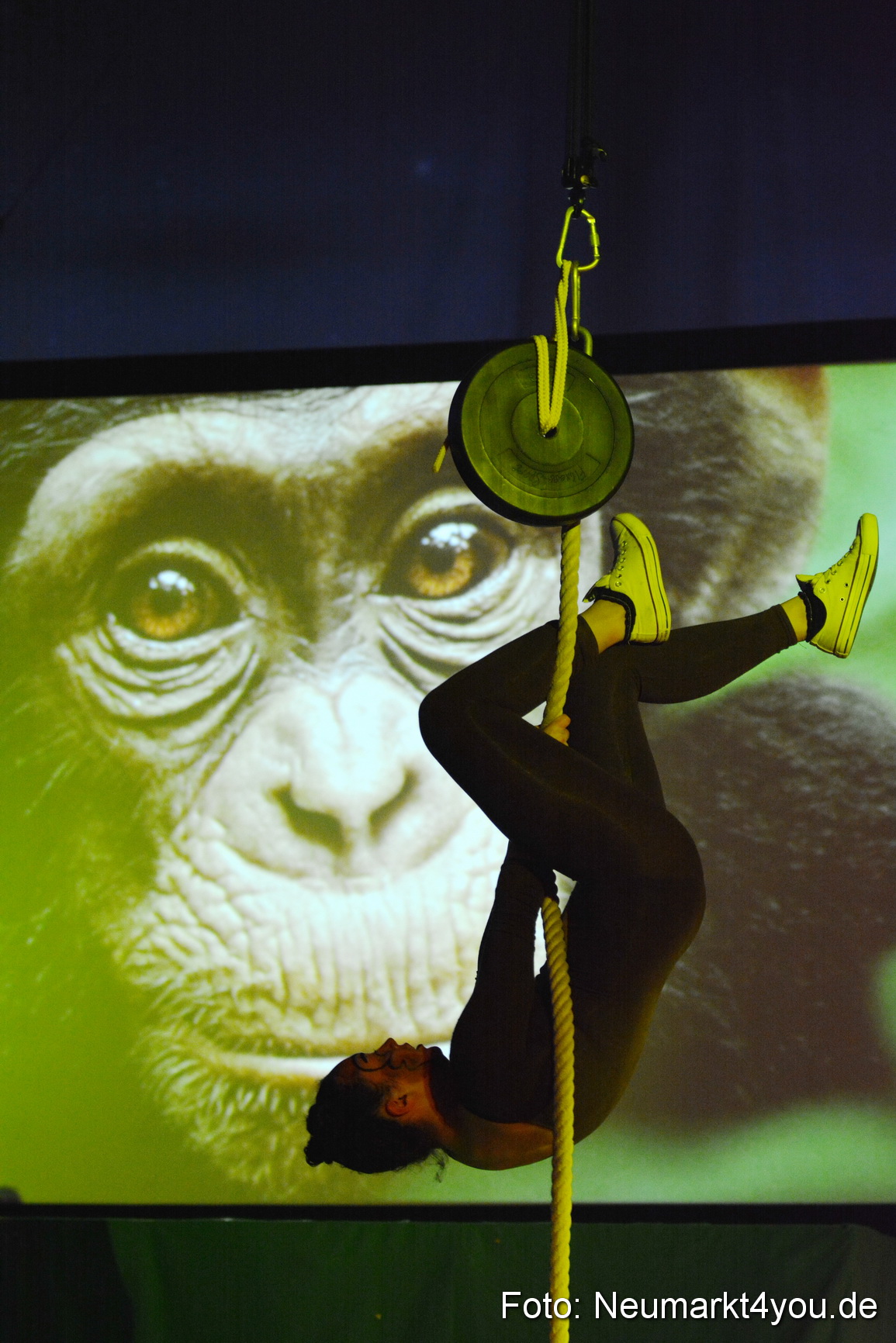 Hakuna Matata 300316 0039