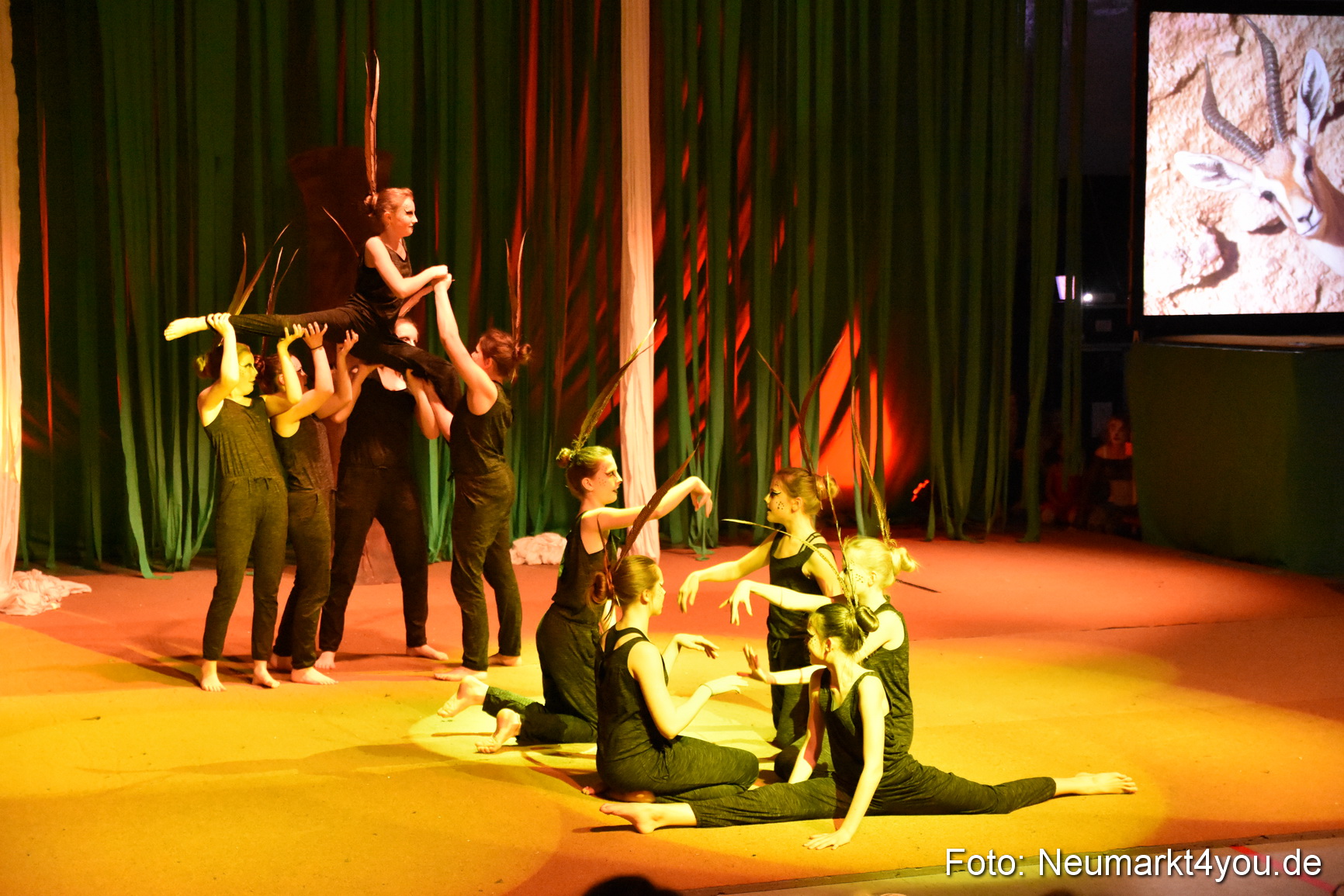 Hakuna Matata 300316 0046