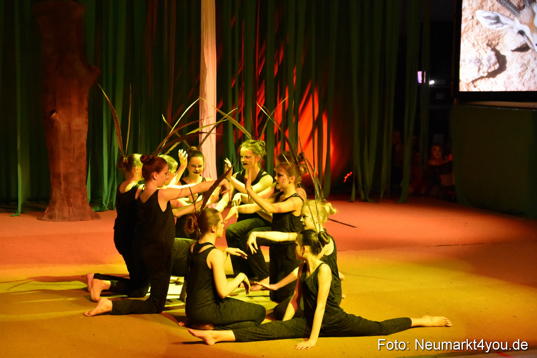 Hakuna Matata 300316 0047