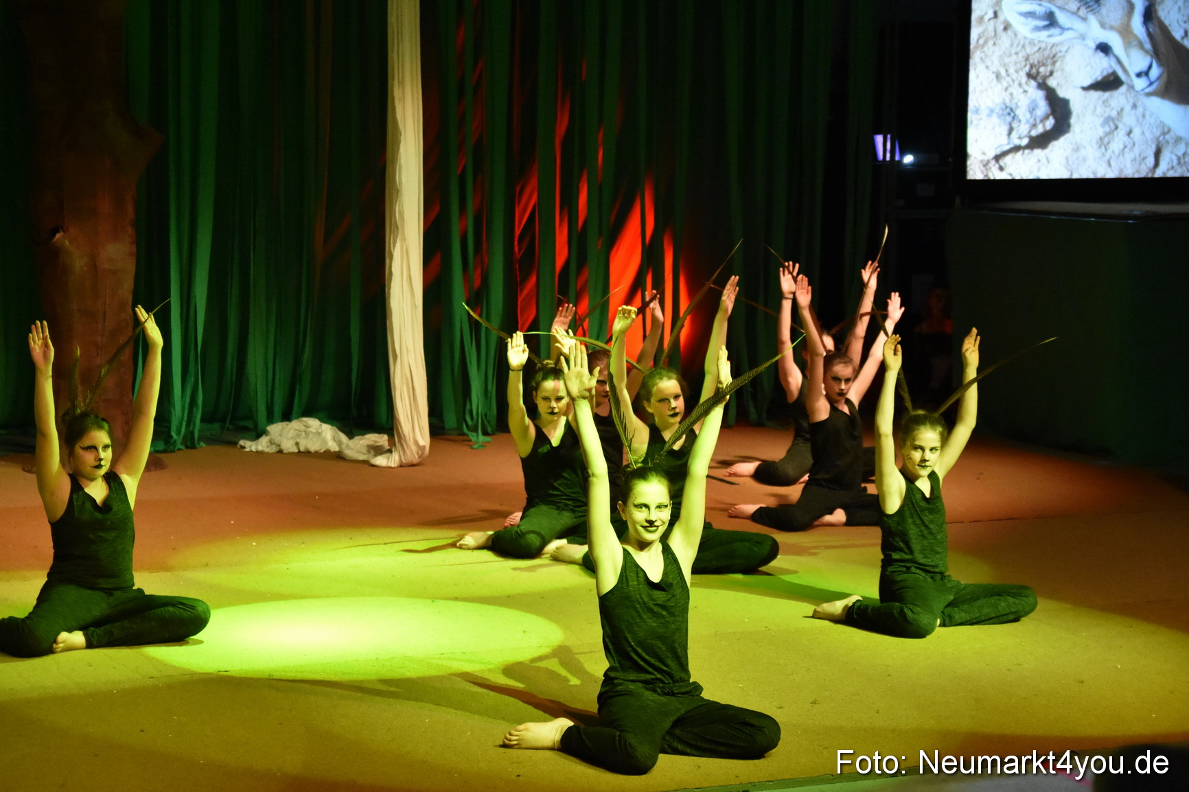 Hakuna Matata 300316 0050