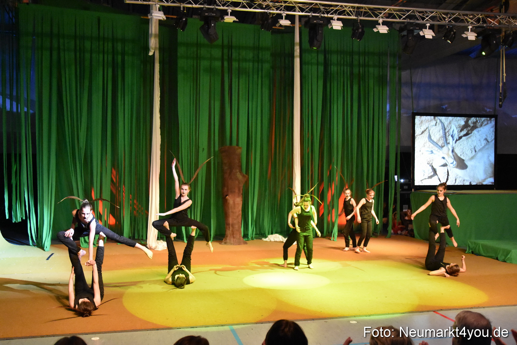 Hakuna Matata 300316 0052