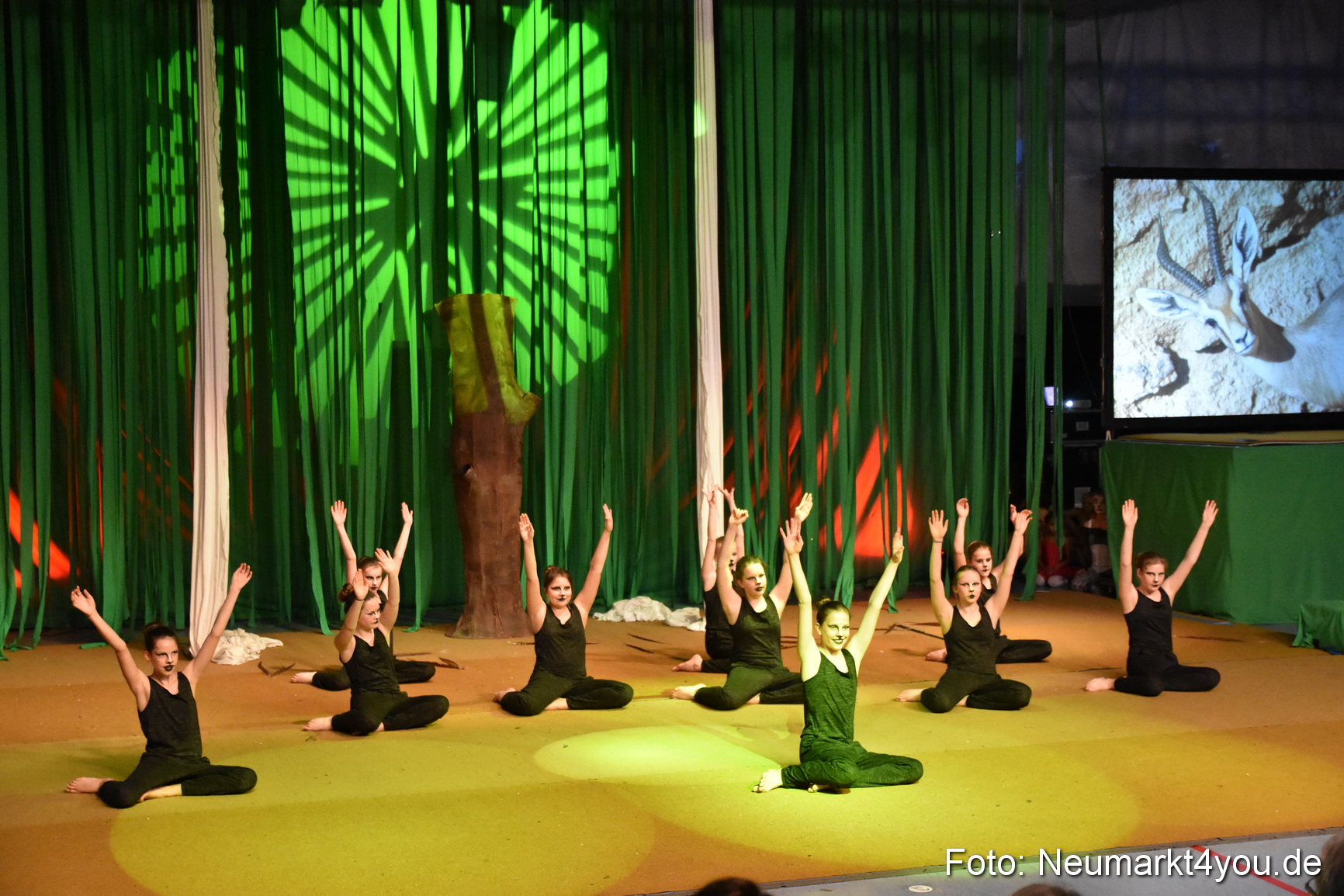 Hakuna Matata 300316 0054