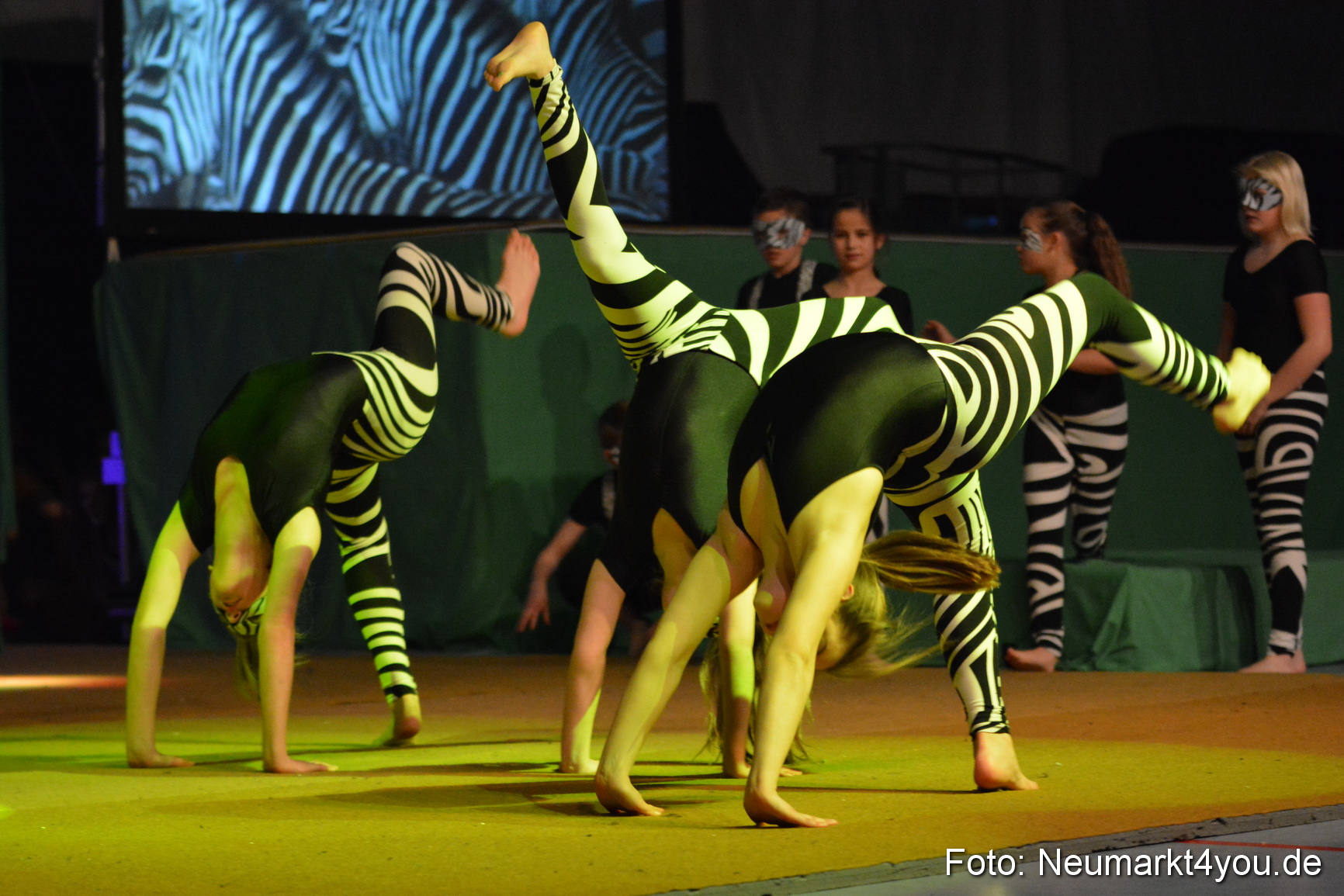 Hakuna Matata 300316 0065