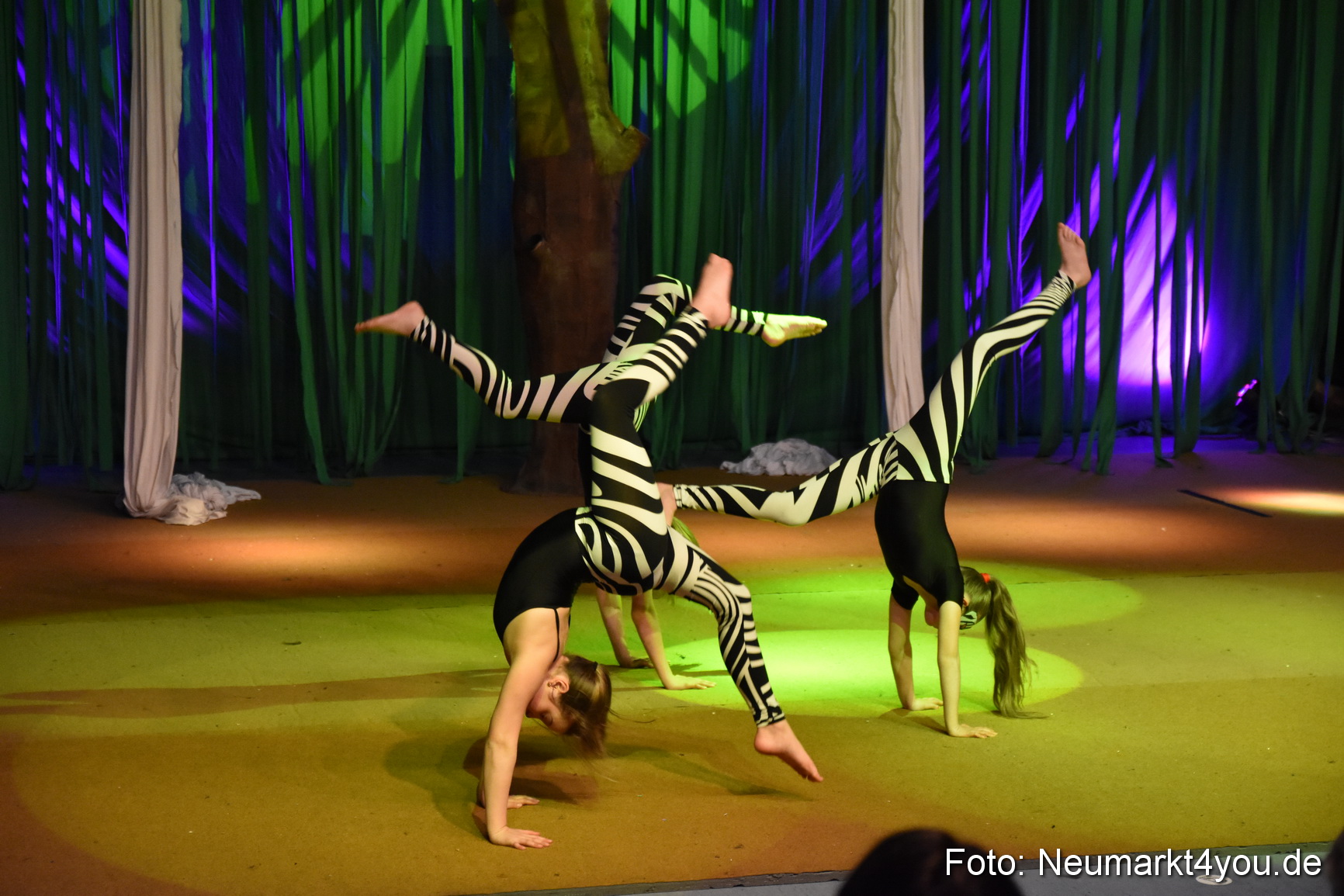 Hakuna Matata 300316 0066