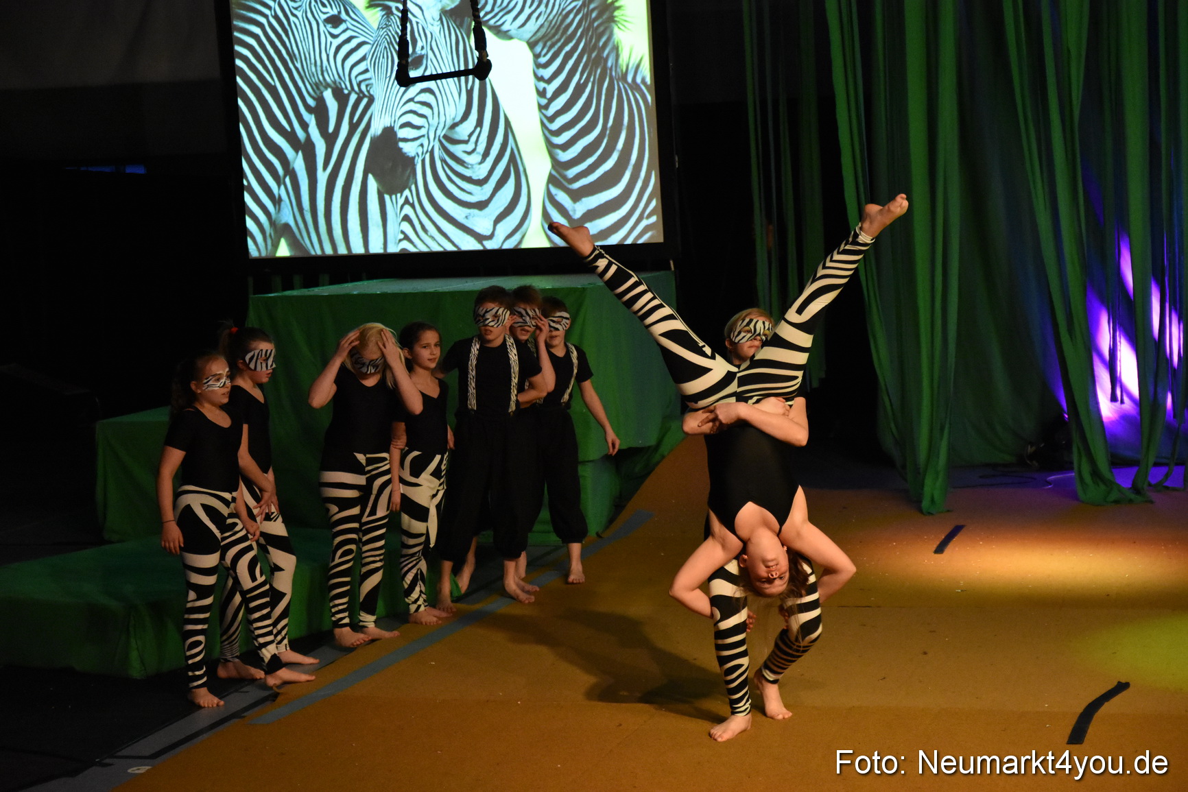 Hakuna Matata 300316 0071