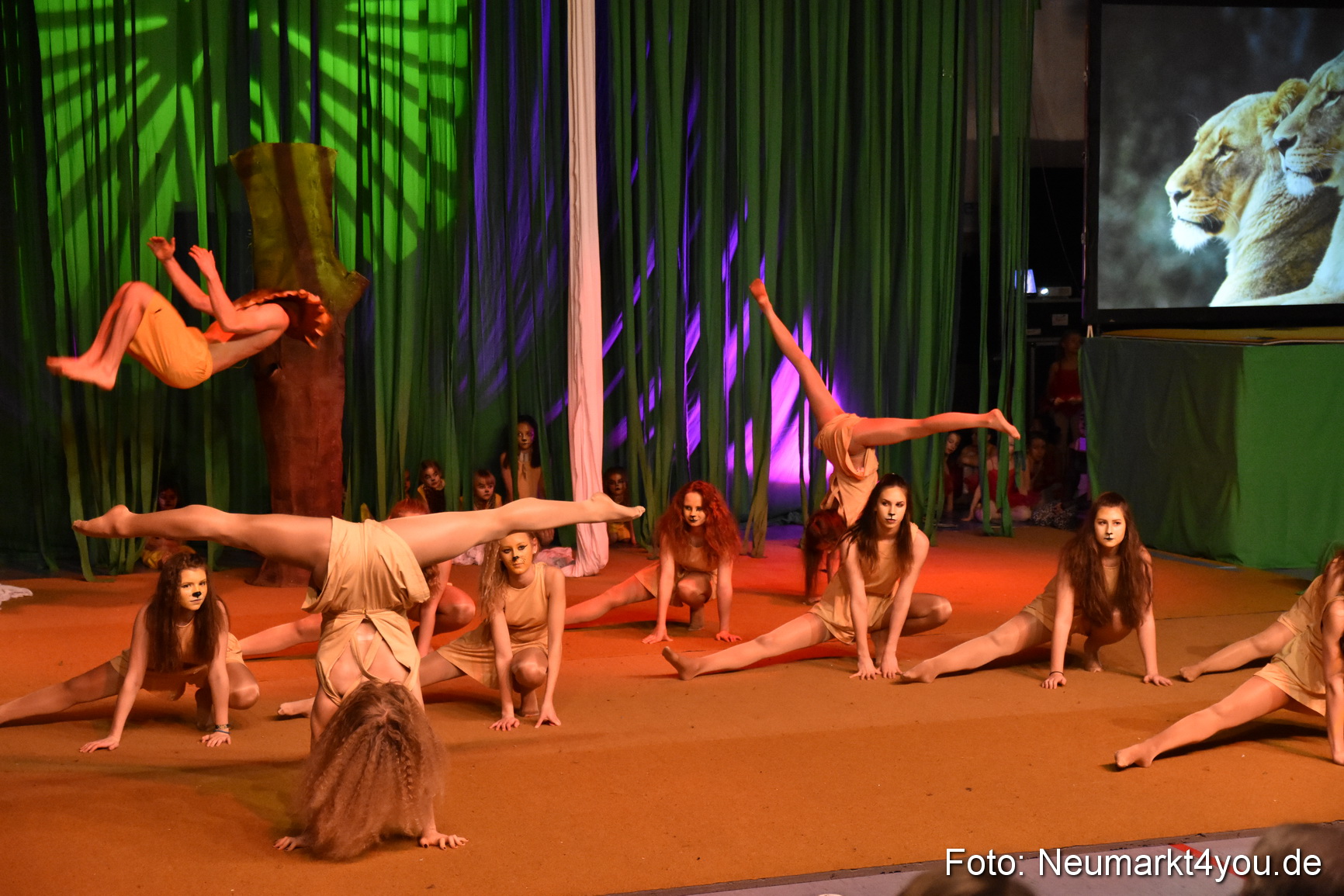 Hakuna Matata 300316 0091