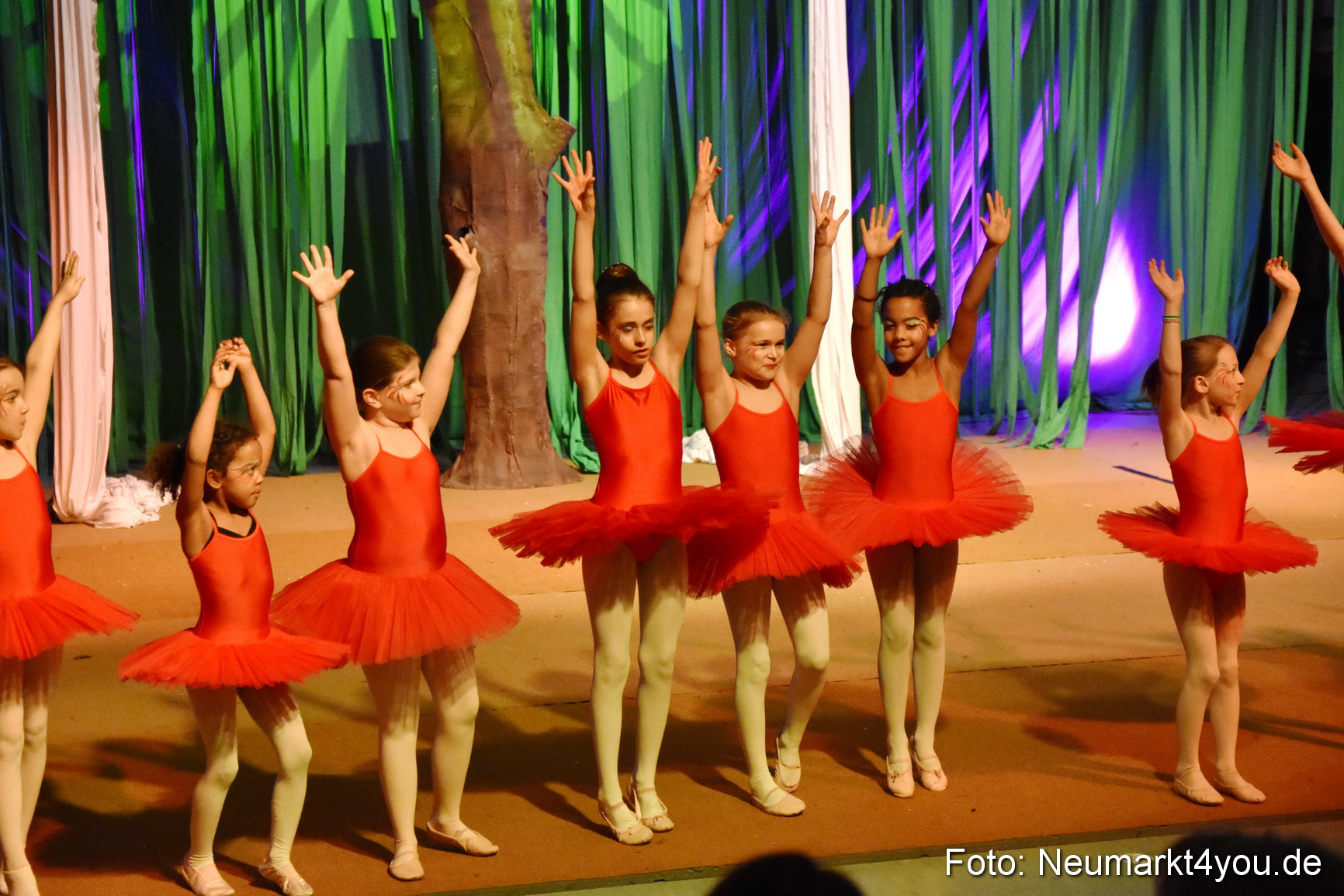 Hakuna Matata 300316 0137