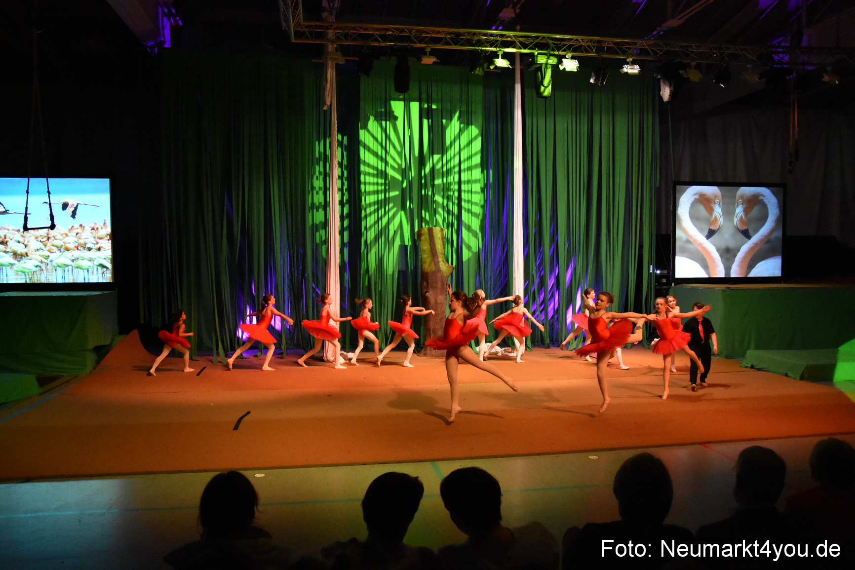 Hakuna Matata 300316 0138