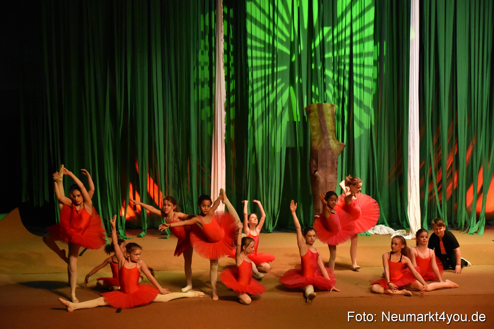 Hakuna Matata 300316 0143