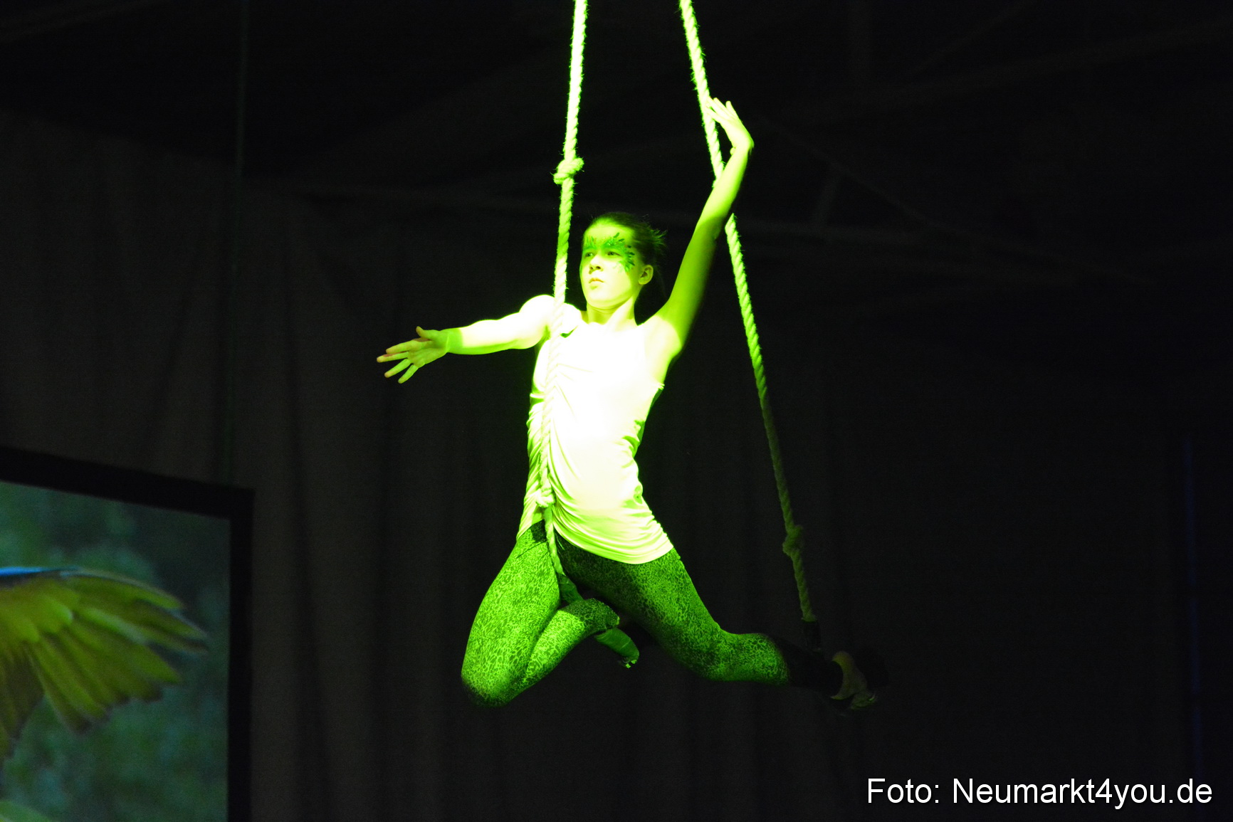 Hakuna Matata 300316 0154