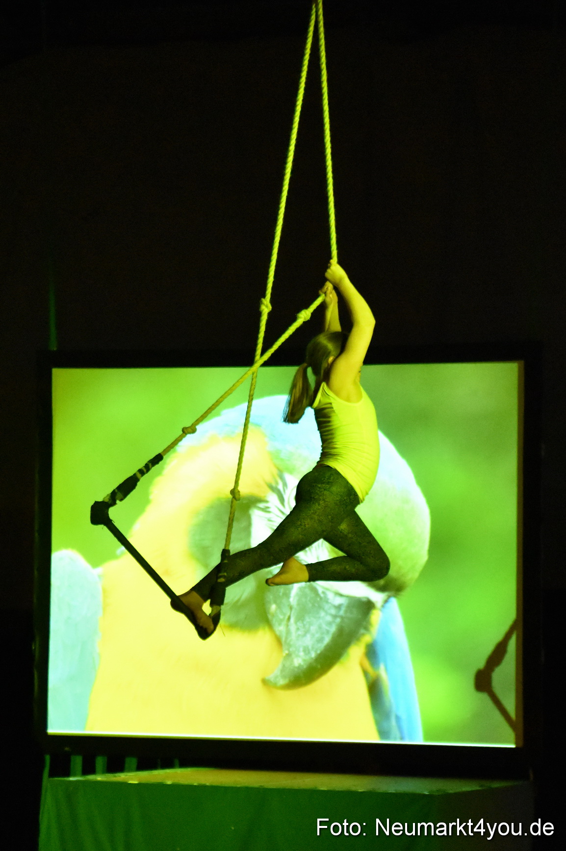 Hakuna Matata 300316 0155