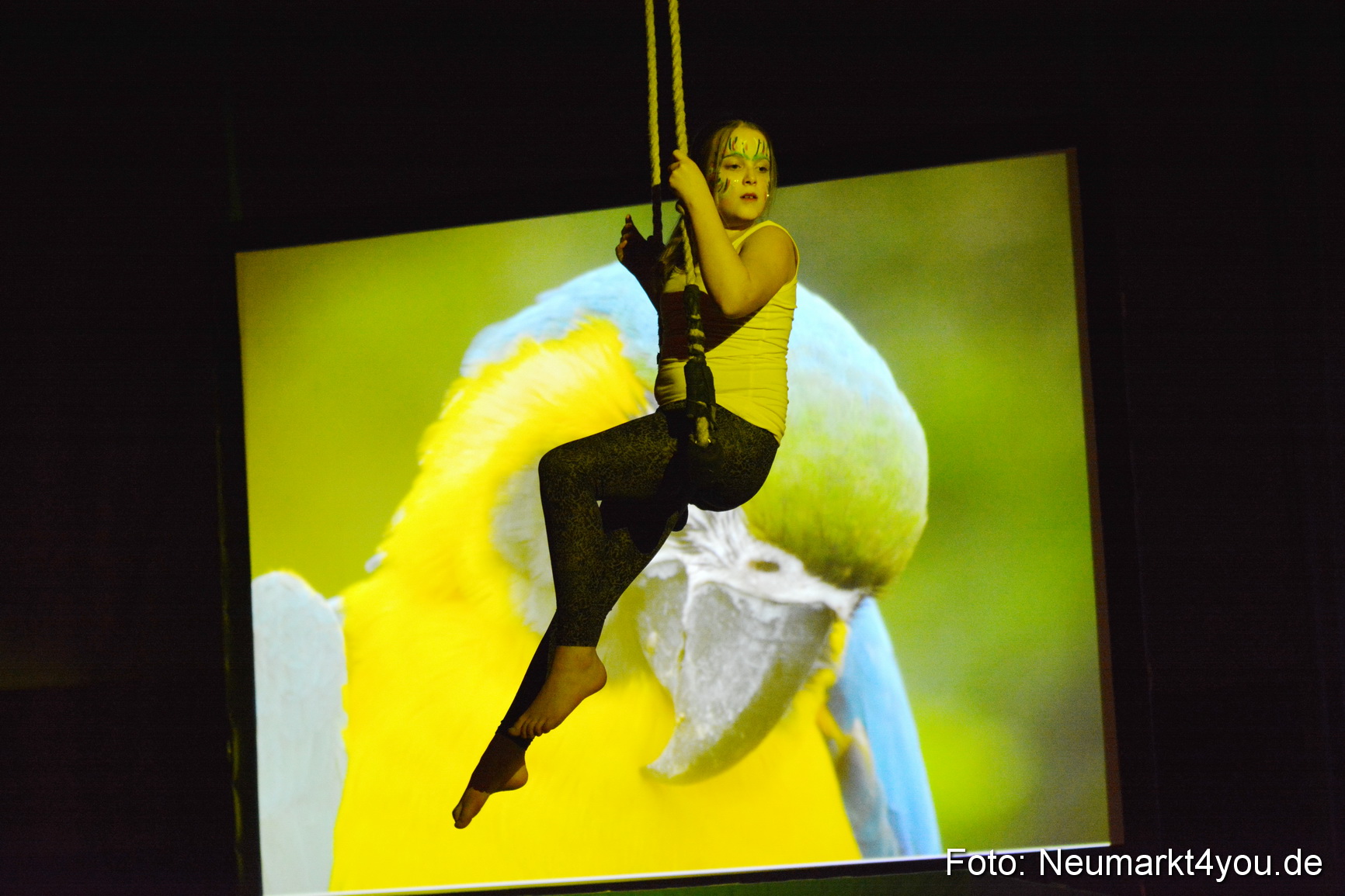 Hakuna Matata 300316 0156