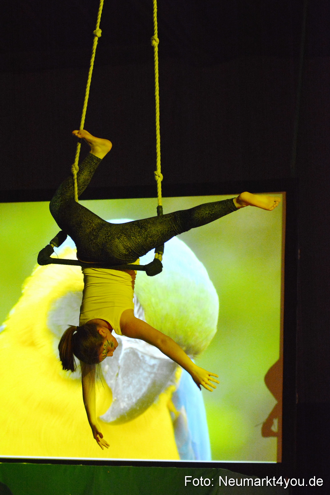 Hakuna Matata 300316 0162