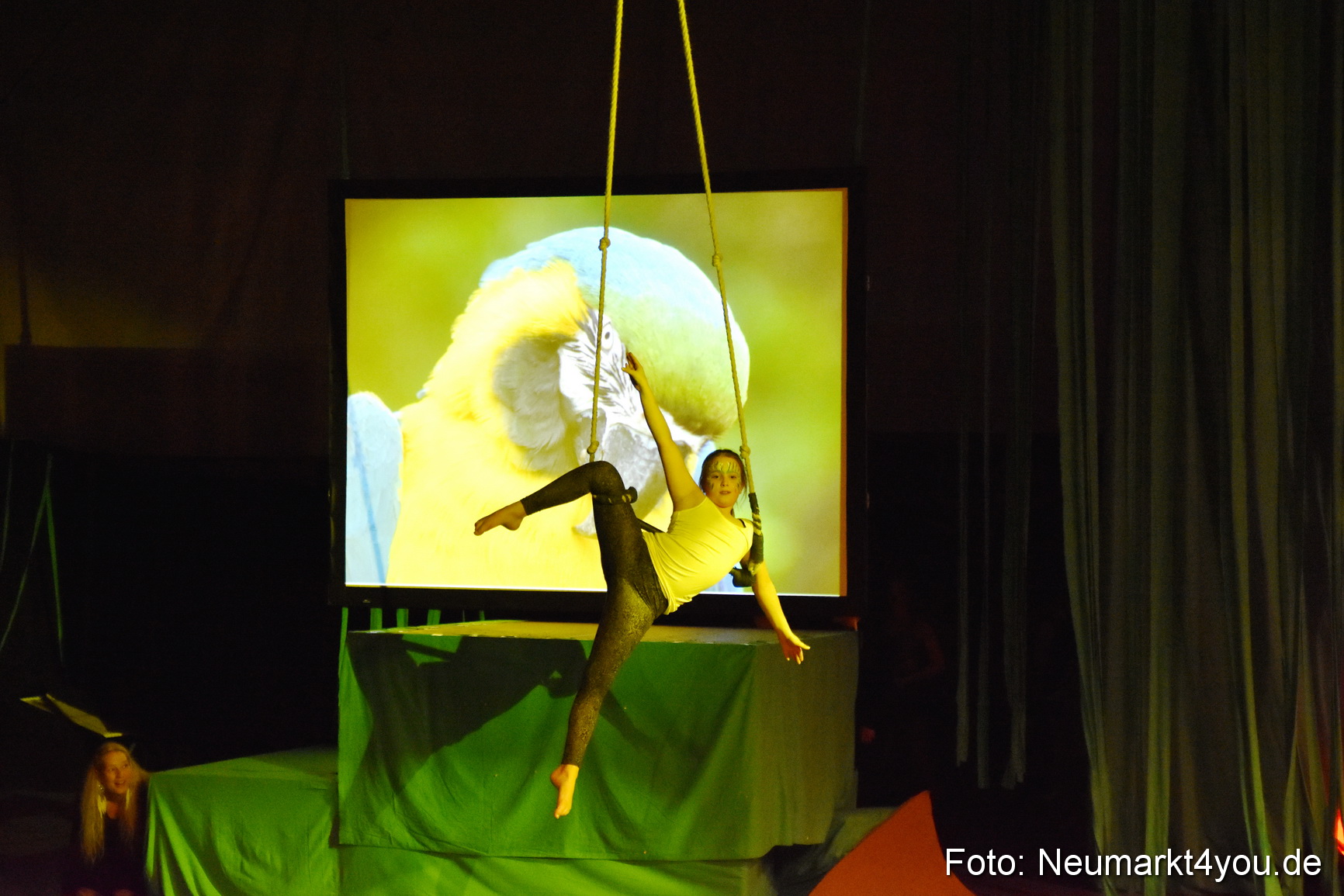 Hakuna Matata 300316 0164