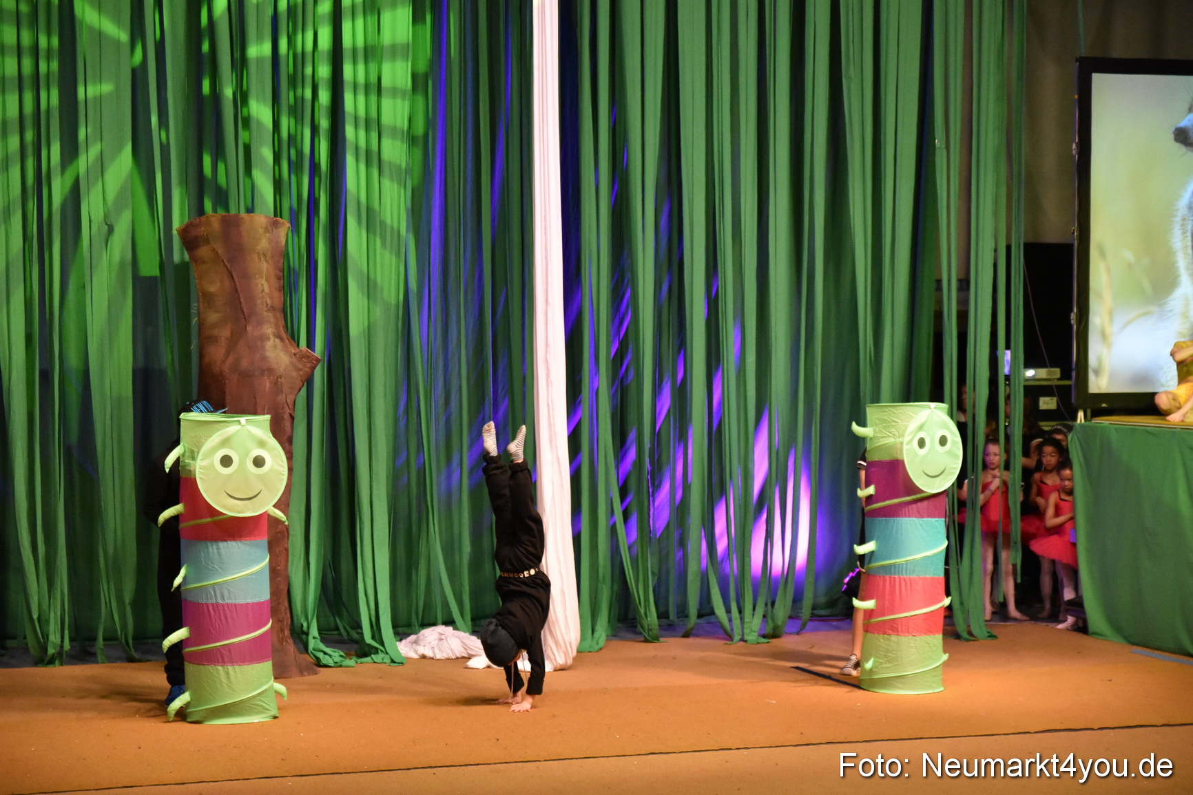 Hakuna Matata 300316 0169