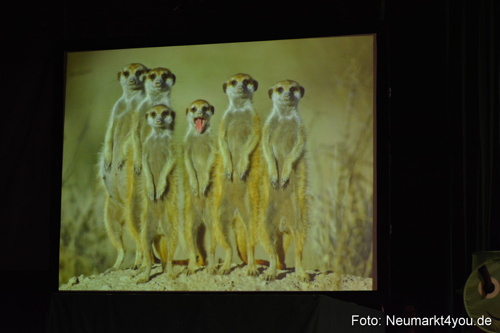 Hakuna Matata 300316 0170