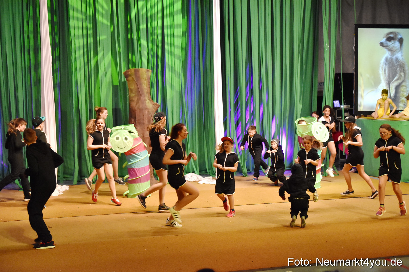 Hakuna Matata 300316 0173