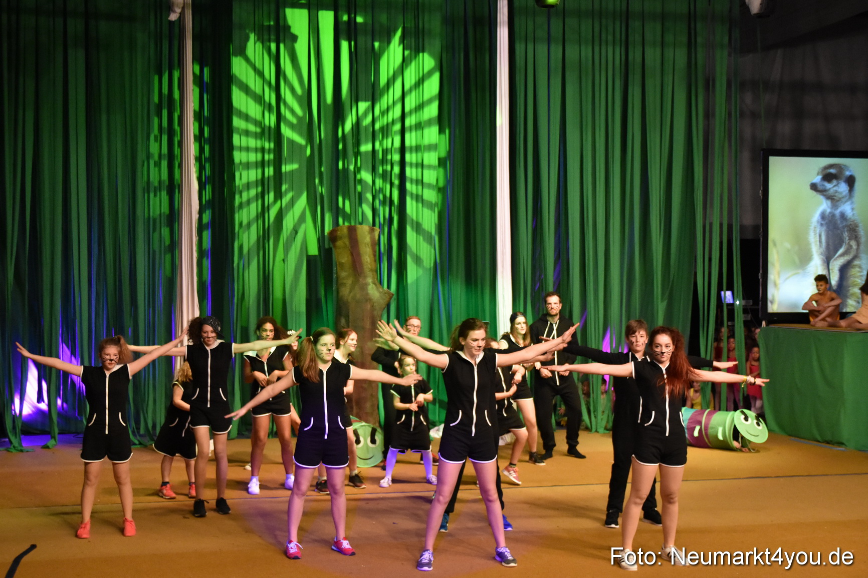 Hakuna Matata 300316 0180