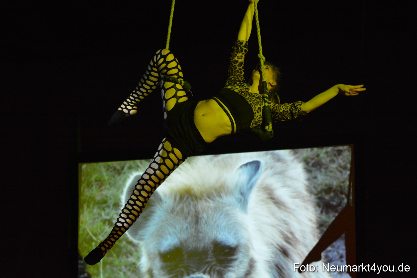 Hakuna Matata 300316 0231