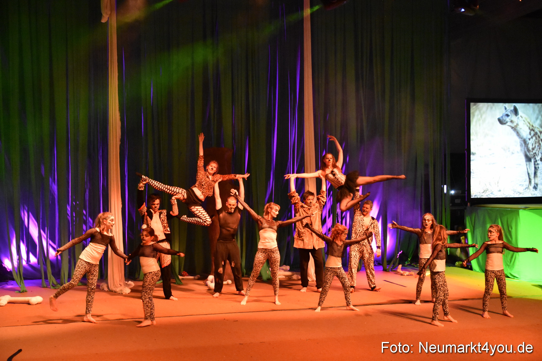 Hakuna Matata 300316 0233