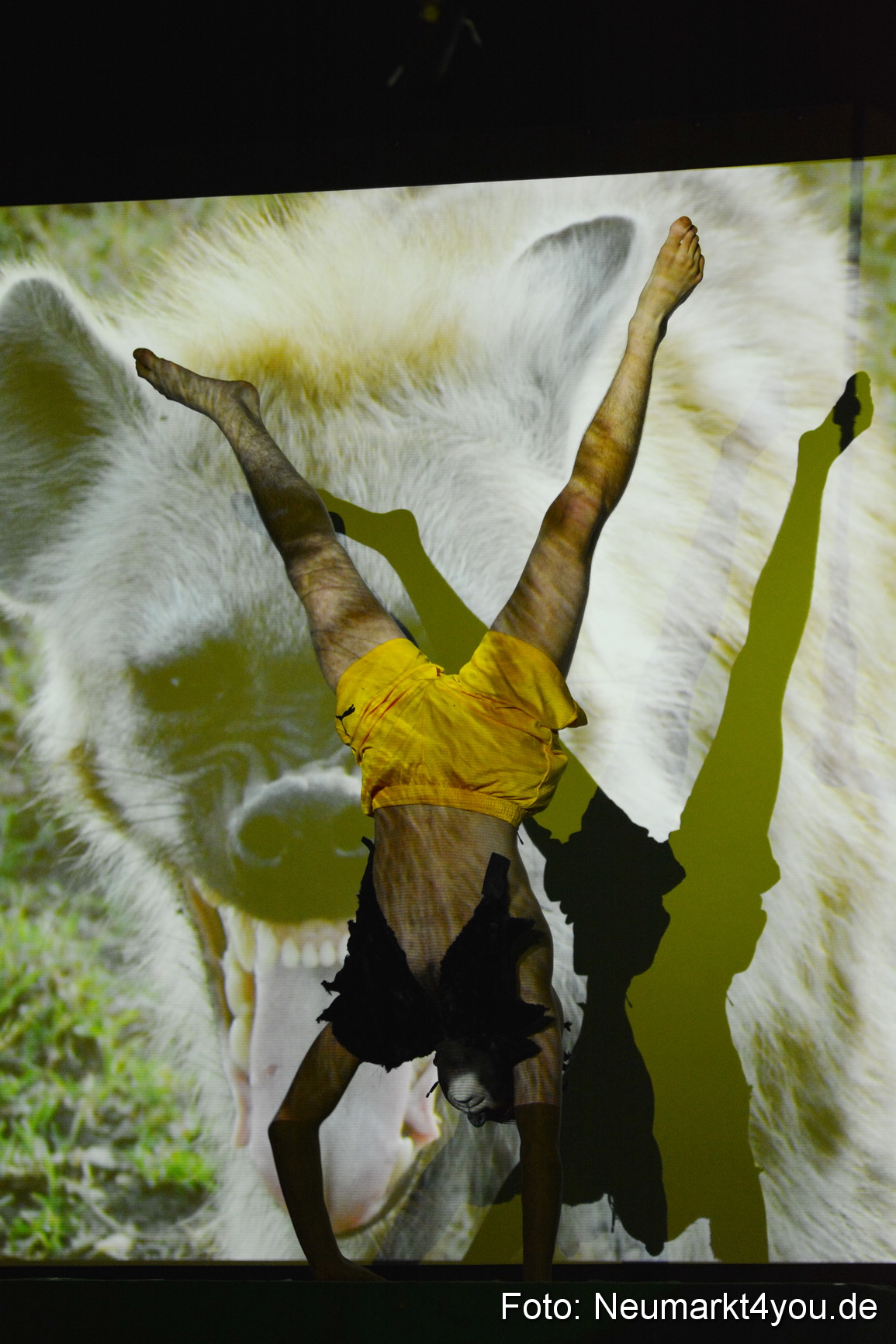 Hakuna Matata 300316 0239