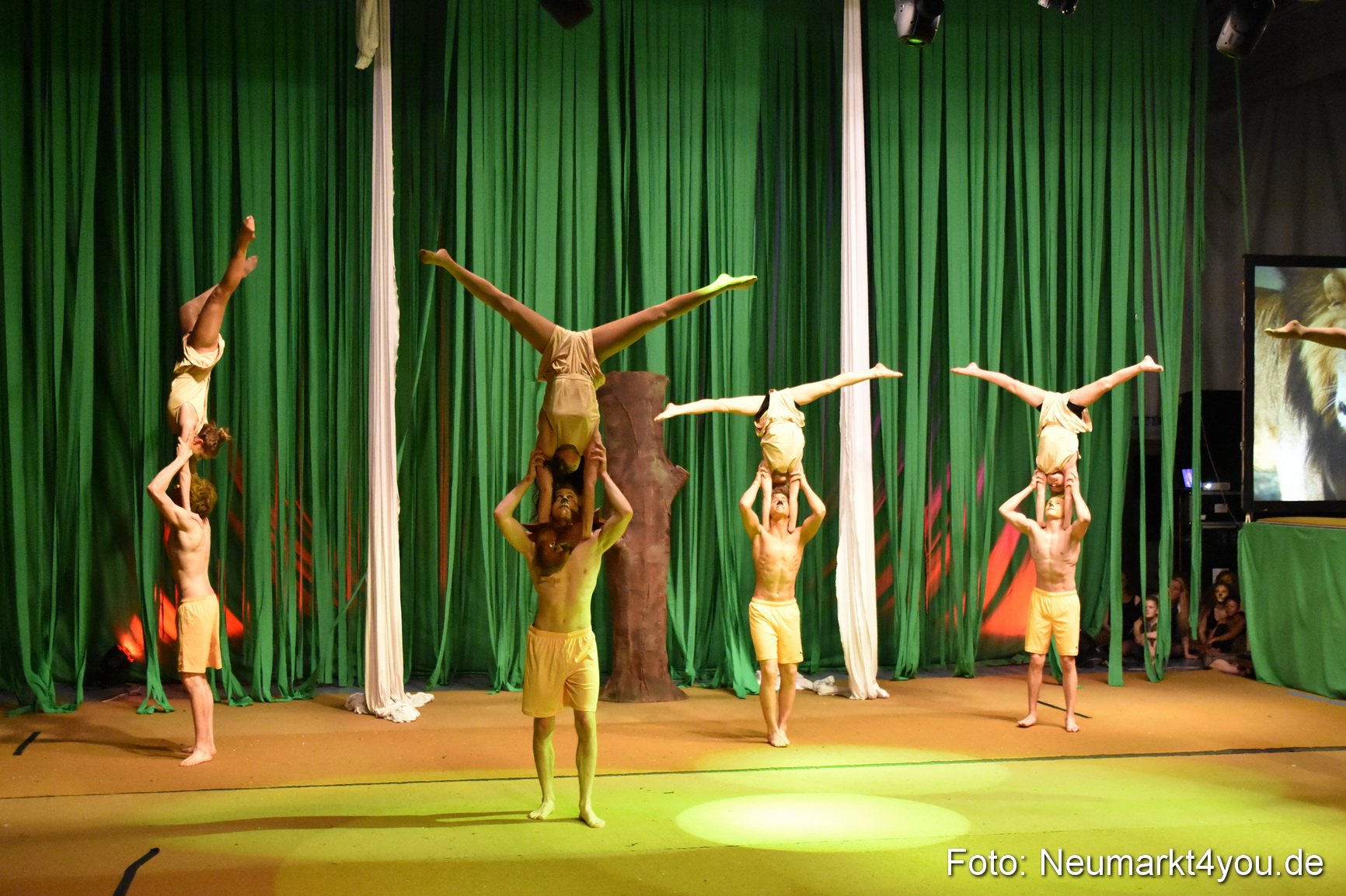 Hakuna Matata 300316 0262