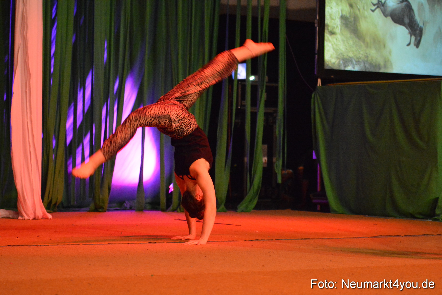 Hakuna Matata 300316 0267