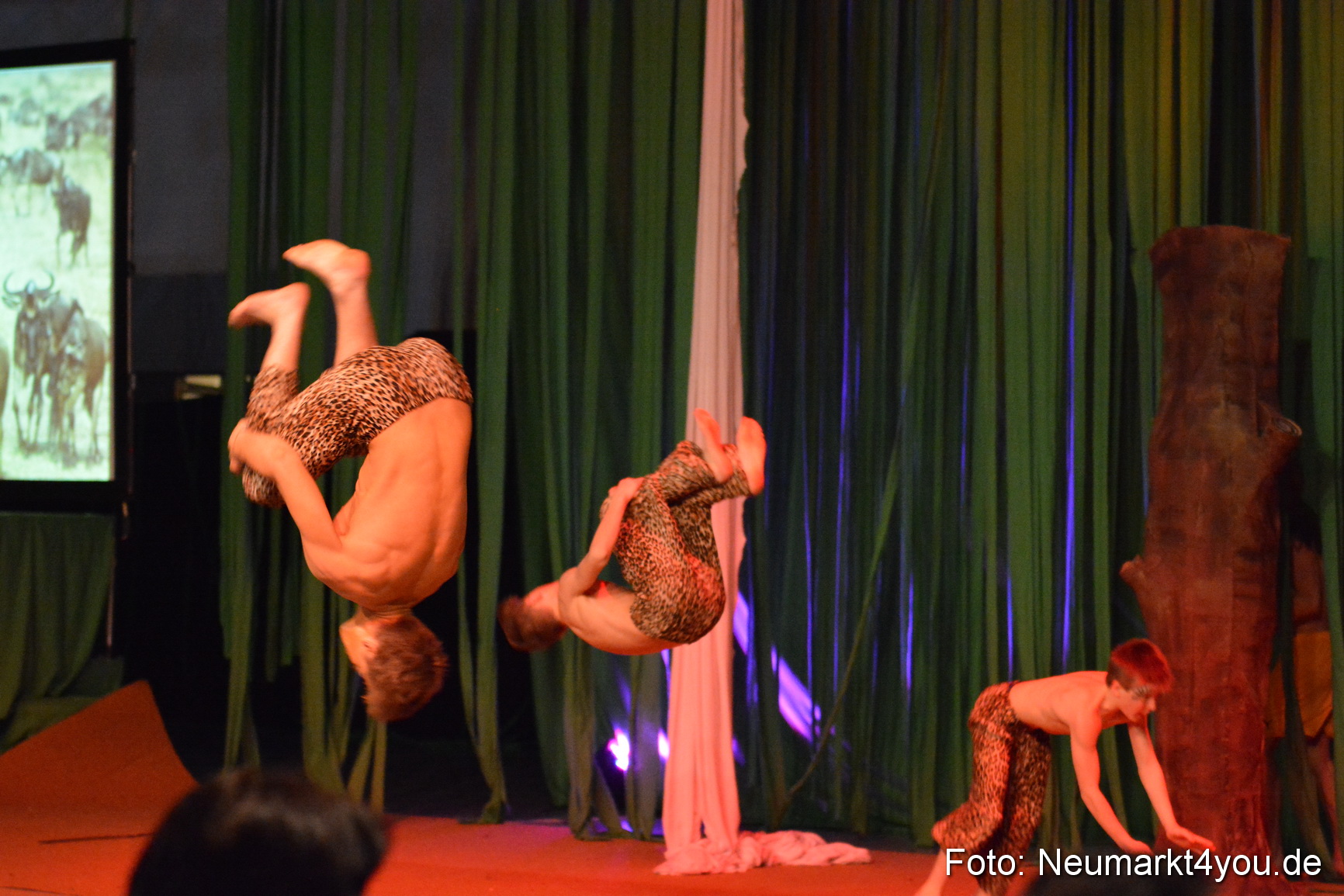 Hakuna Matata 300316 0268