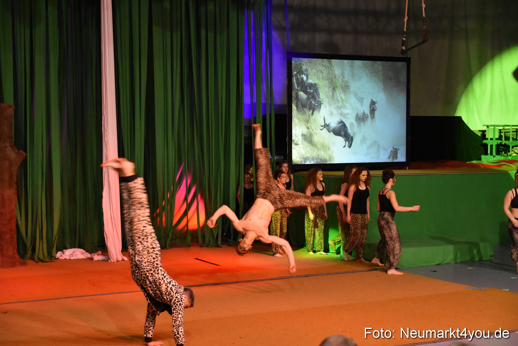 Hakuna Matata 300316 0269