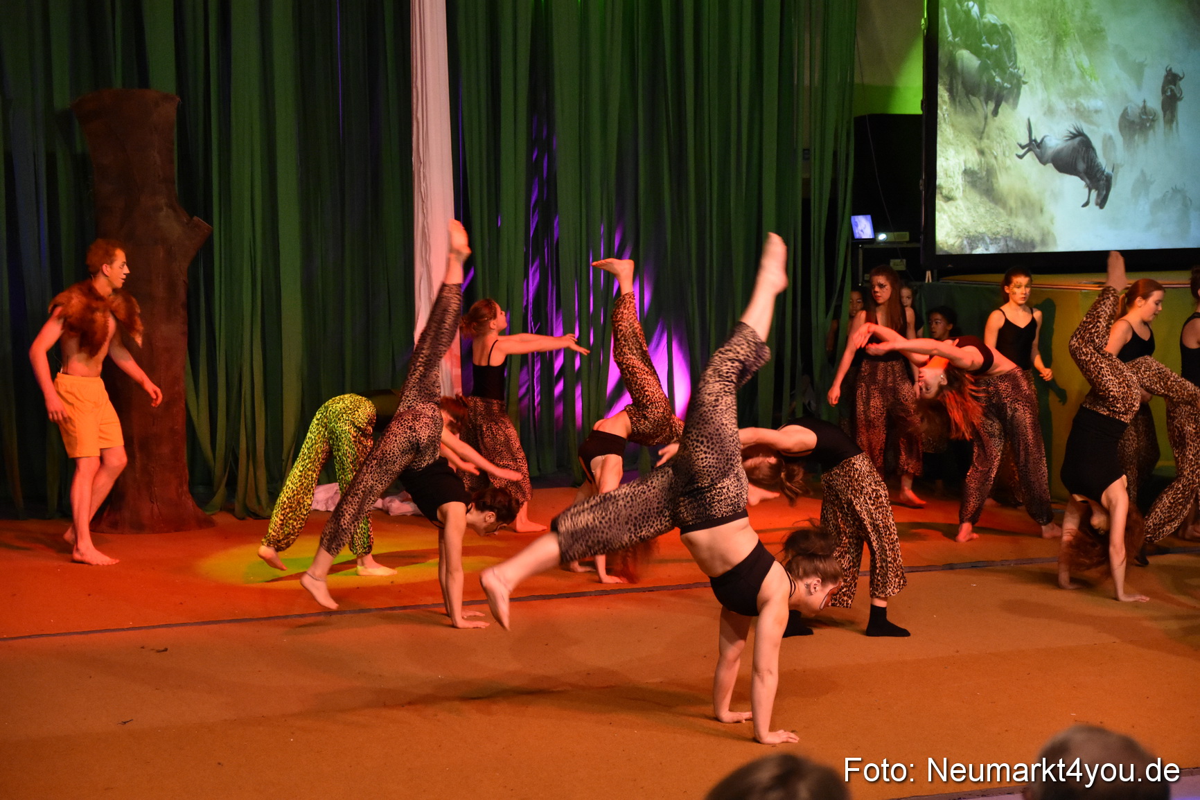 Hakuna Matata 300316 0270