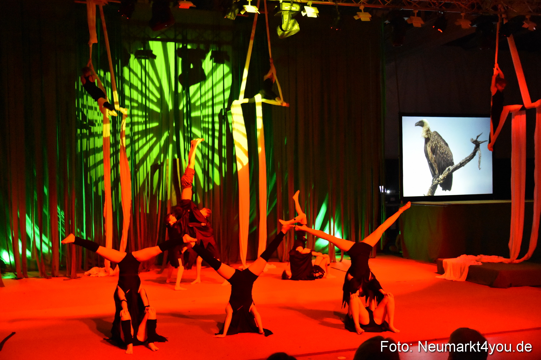 Hakuna Matata 300316 0284