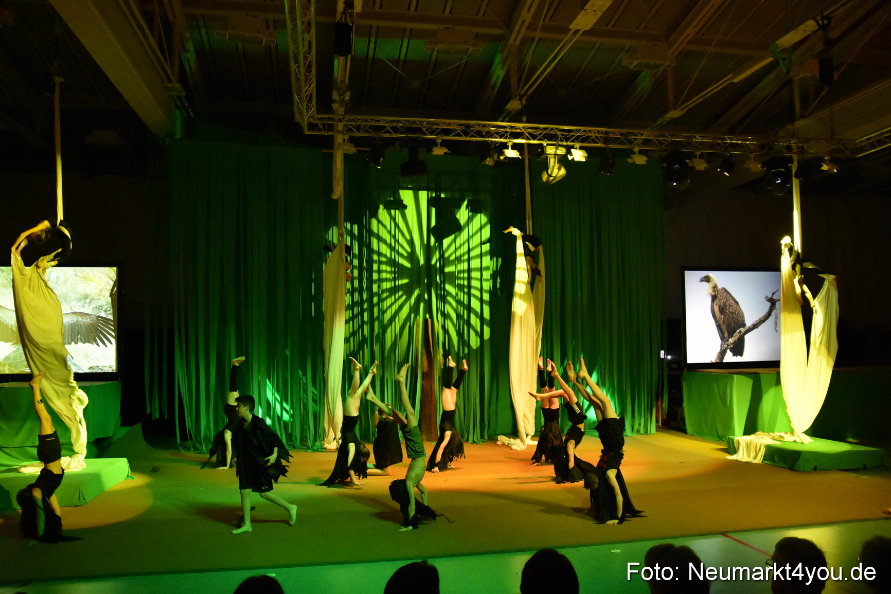 Hakuna Matata 300316 0285