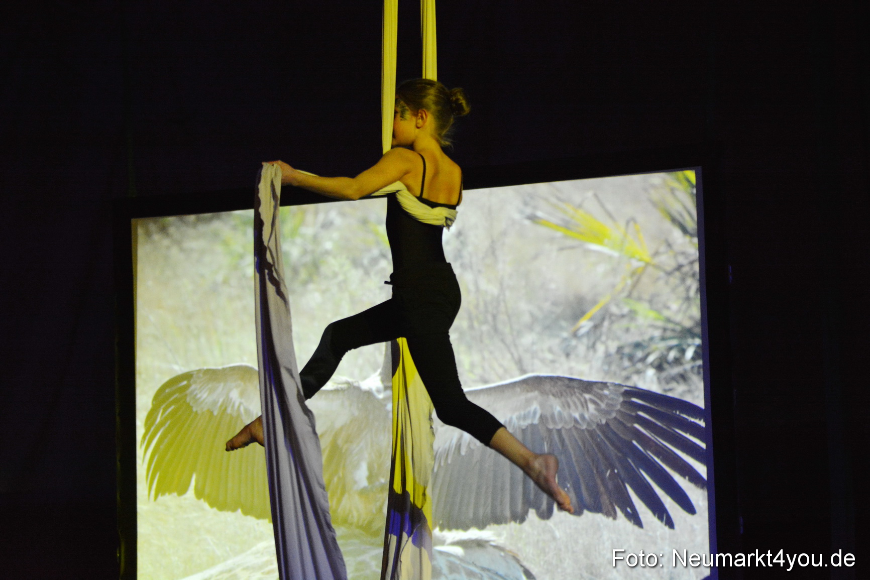 Hakuna Matata 300316 0290