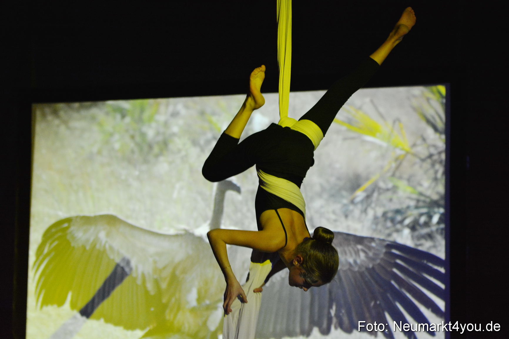 Hakuna Matata 300316 0292