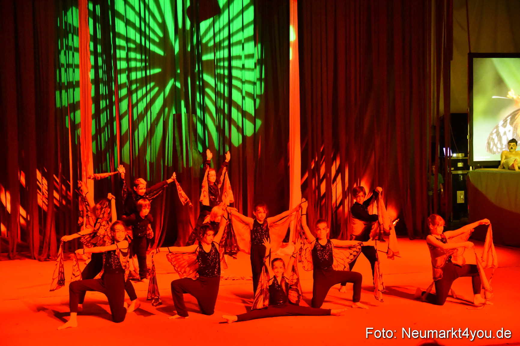 Hakuna Matata 300316 0324