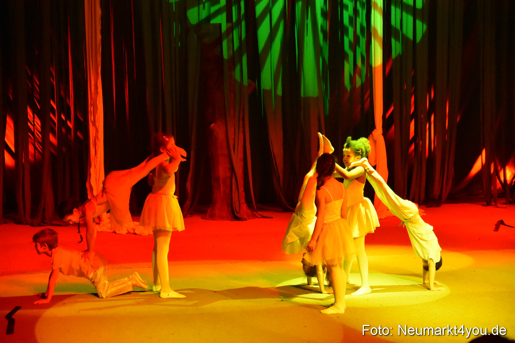 Hakuna Matata 300316 0347