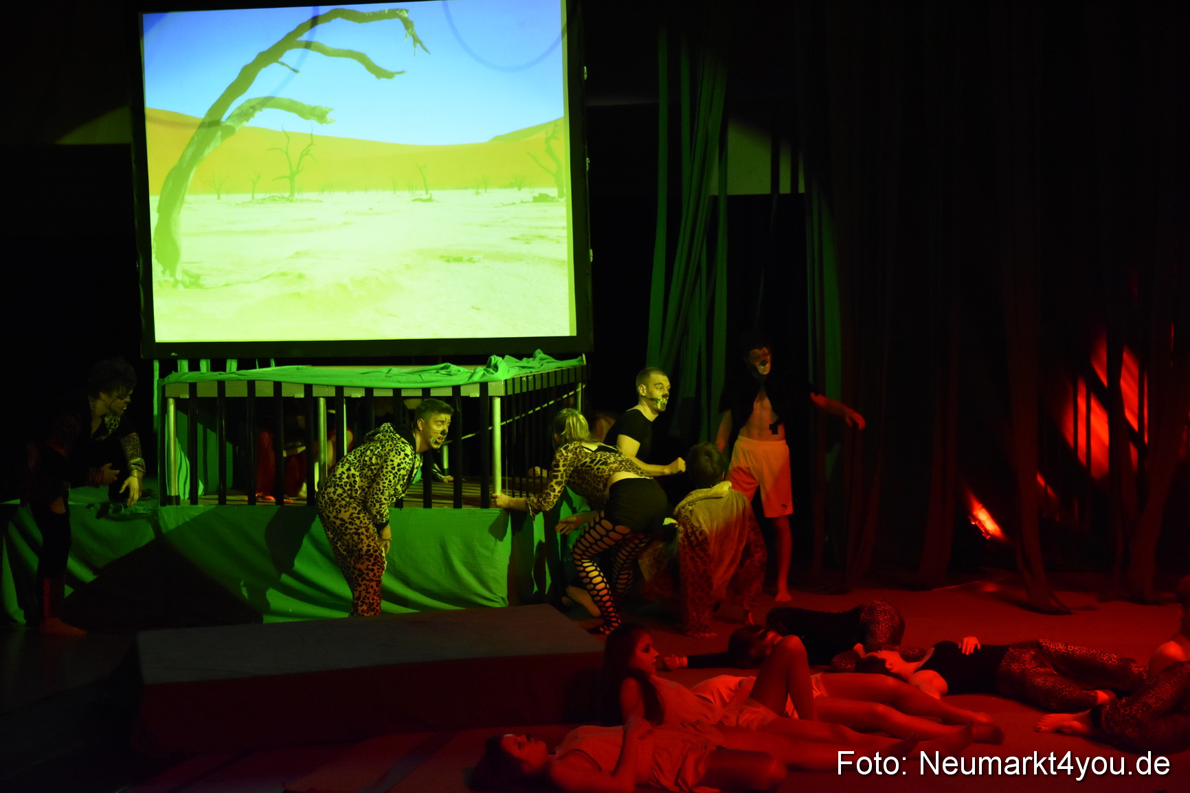 Hakuna Matata 300316 0360