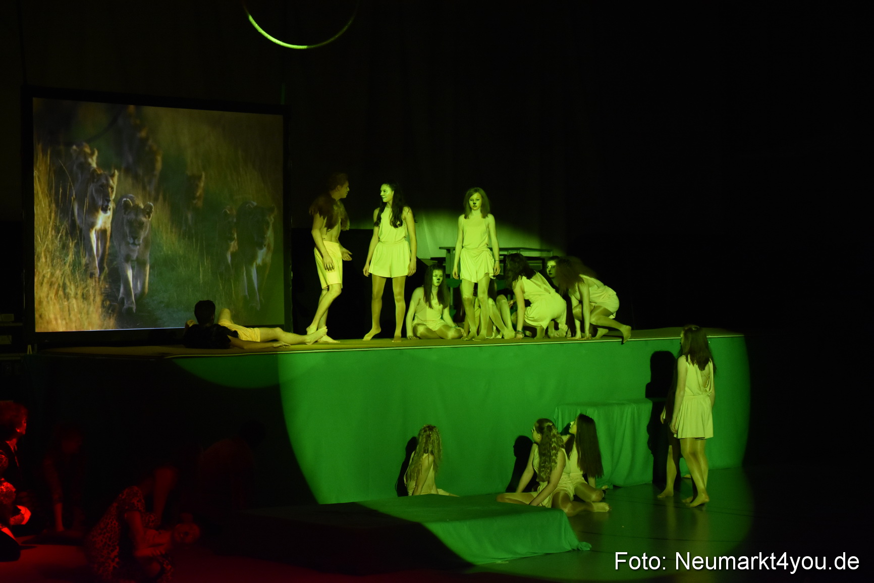 Hakuna Matata 300316 0397