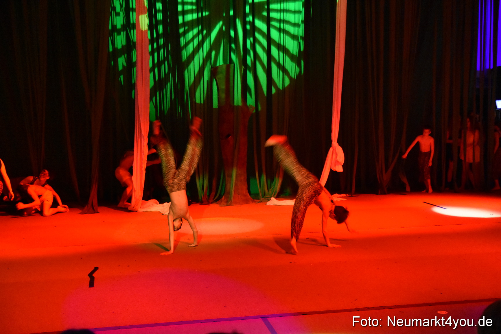 Hakuna Matata 300316 0402