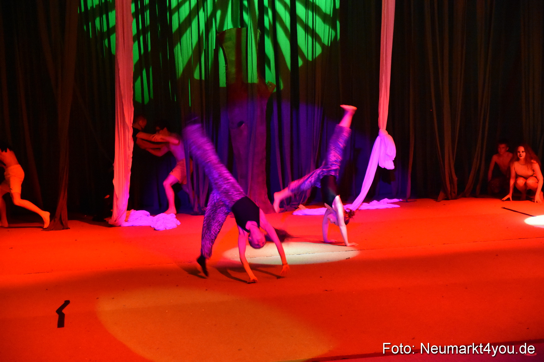 Hakuna Matata 300316 0403