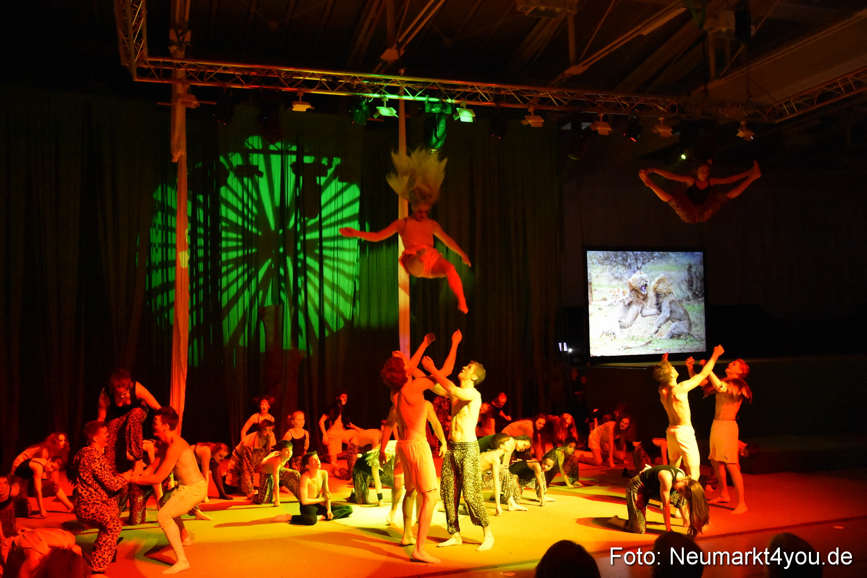 Hakuna Matata 300316 0406