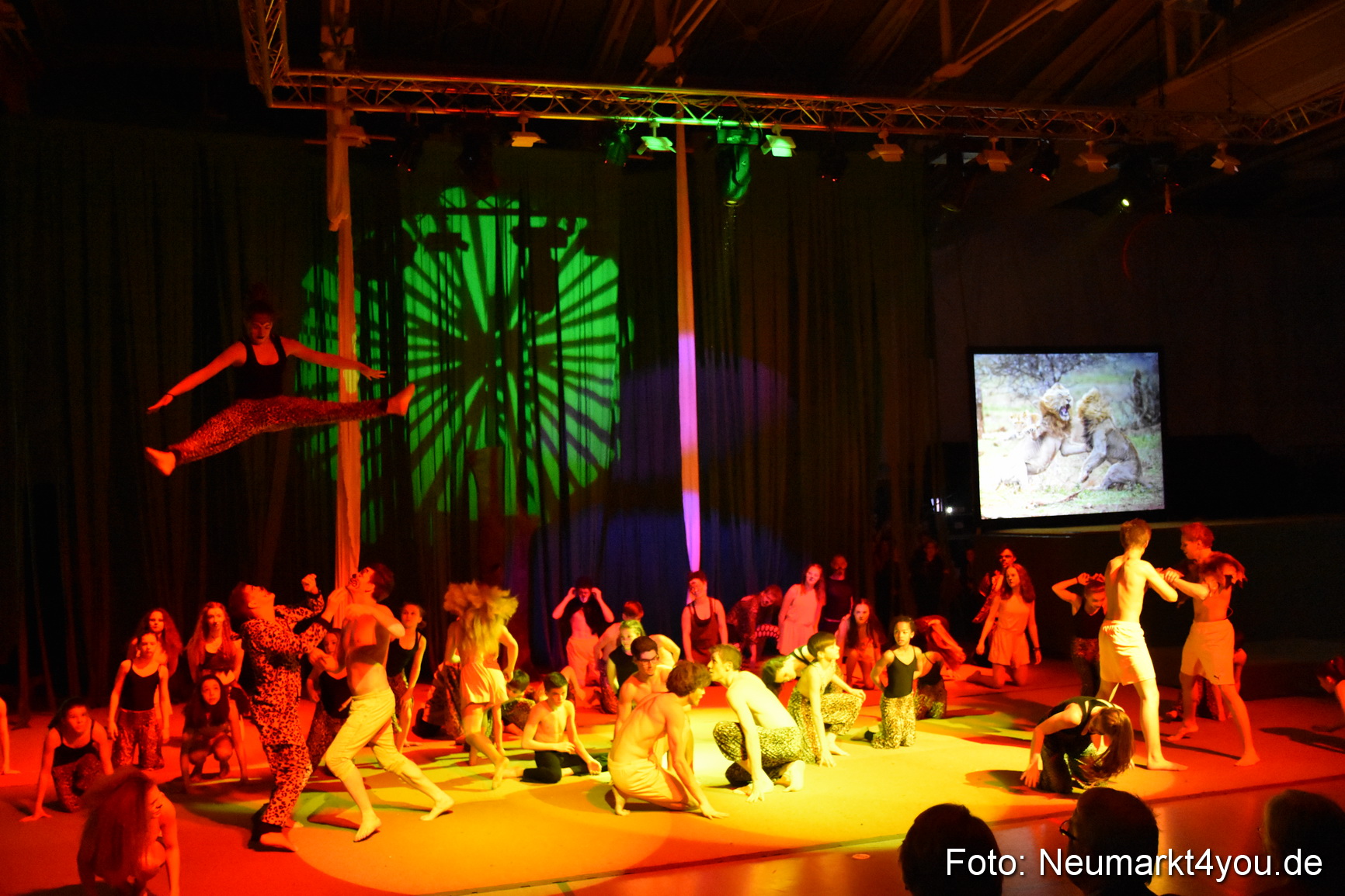 Hakuna Matata 300316 0407