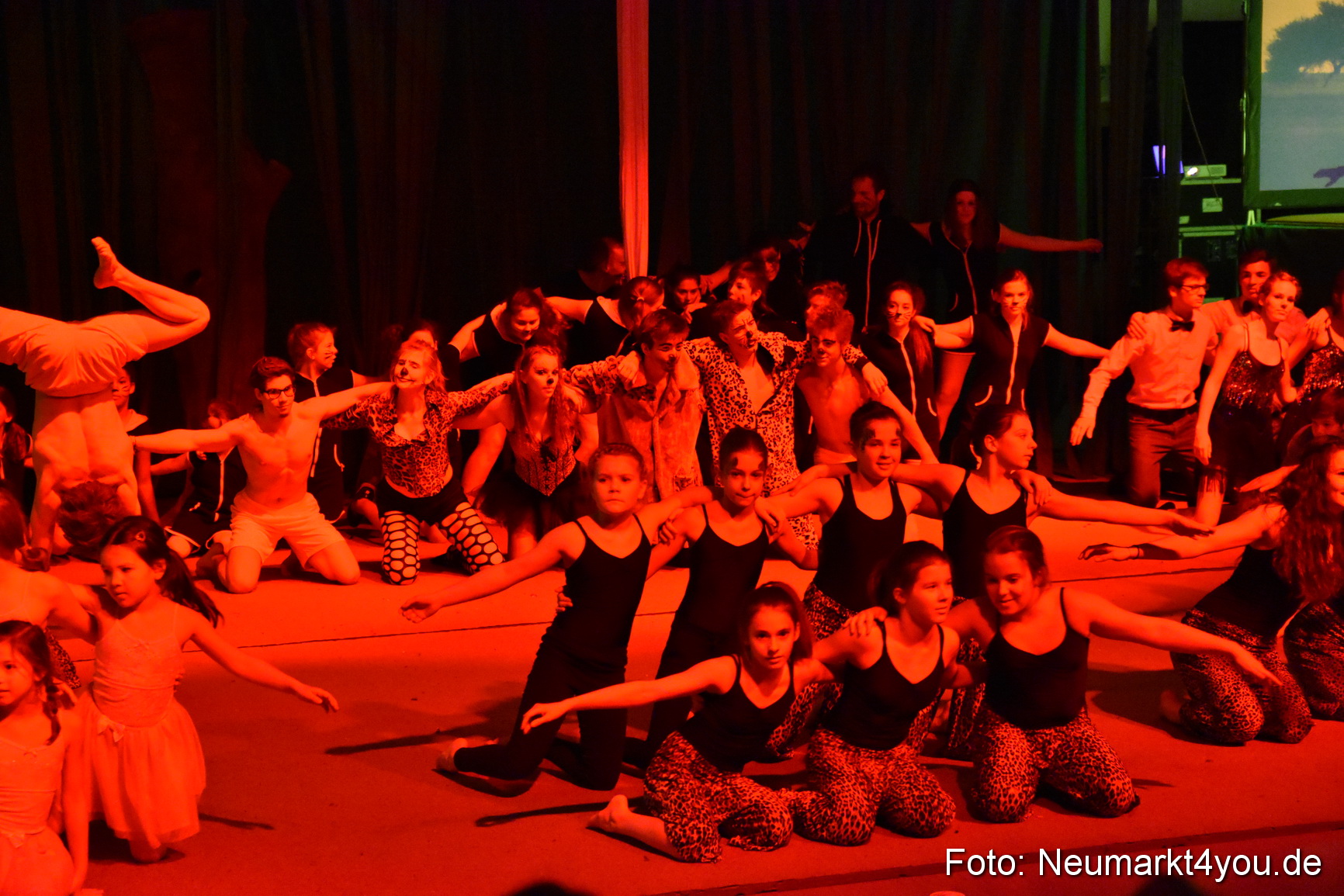 Hakuna Matata 300316 0417