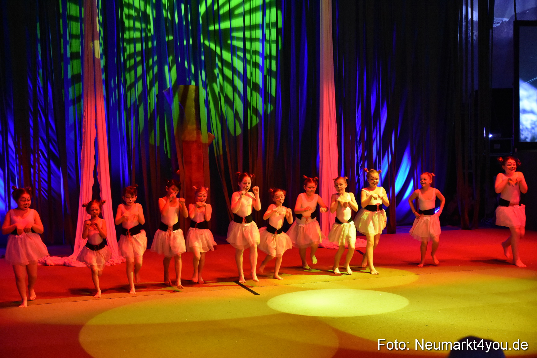 Hakuna Matata Circusverein 010416 0020