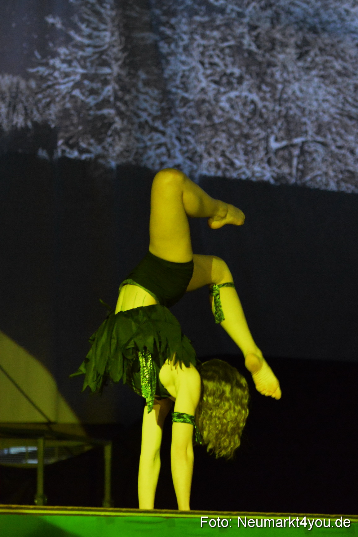 Hakuna Matata Circusverein 010416 0033