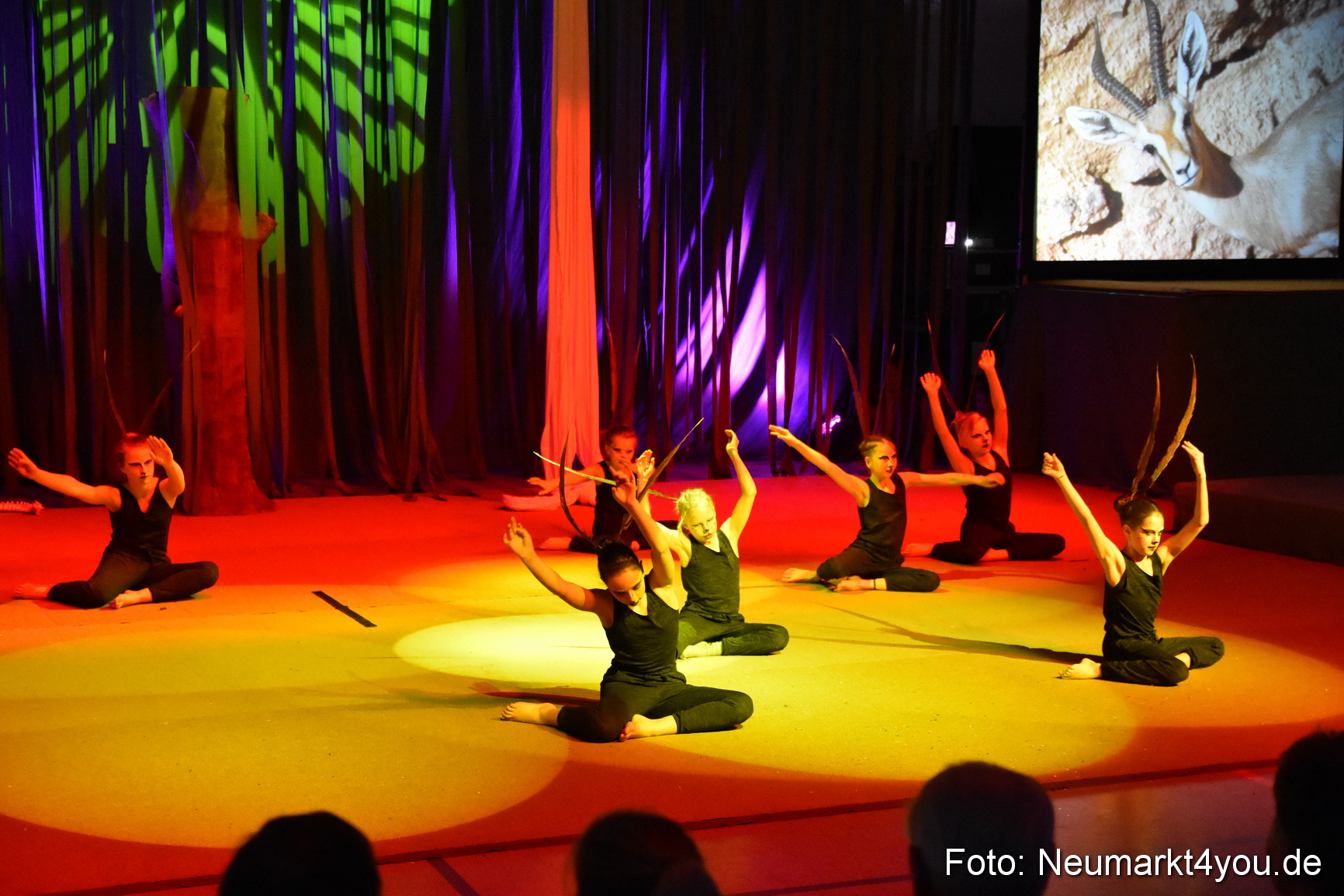 Hakuna Matata Circusverein 010416 0059